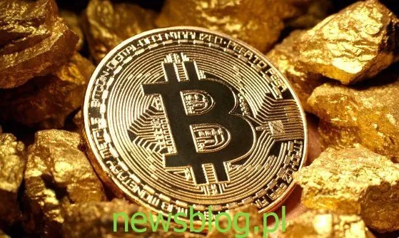  bitcoin  / gold