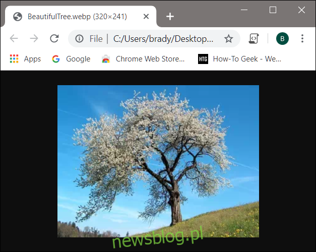 Po kliknięciu obraz WebP otwiera się bezpośrednio w Chrome