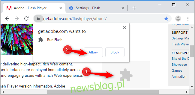 dolwnload flash for chrome