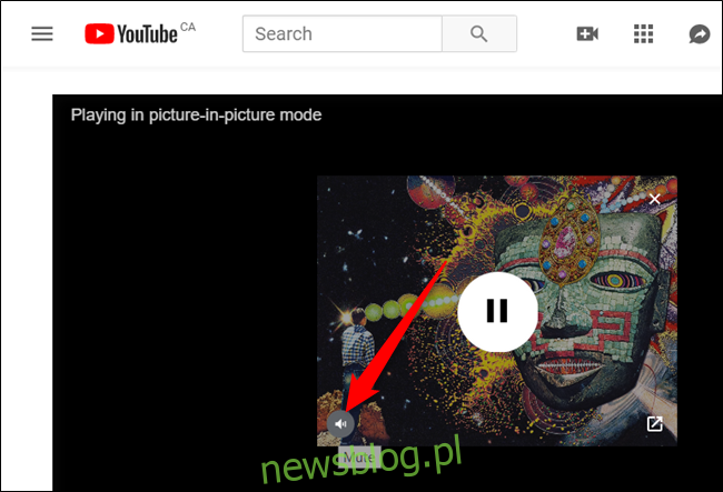 Najedź kursorem myszy na wideo, a następnie kliknij ikonę głośnika, aby wyciszyć wideo