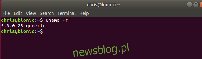 uname polecenie pokazujące jądro Linux 5.0 działające na Ubuntu 