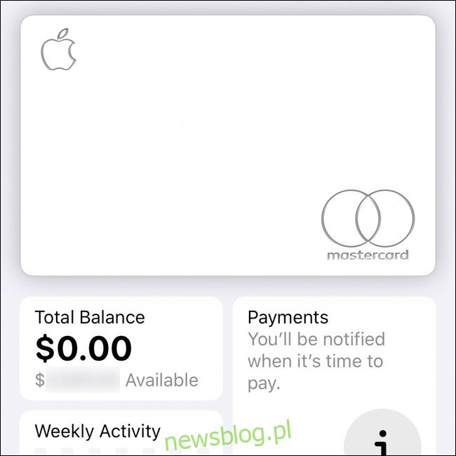 Interfejs Apple Wallet w aplikacji Wallet