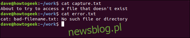 zawartość plików capture.txt i error.txt w oknie terminala