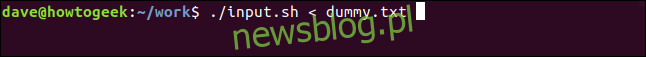 ./input.sh <dummy.txt w oknie terminala