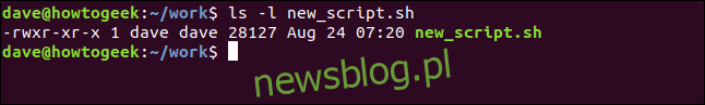 ls -l new_script.sh w oknie terminala