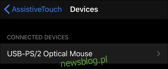 Połączenie myszy USB i PS / 2 w iOS 13 (iPadOS 13)