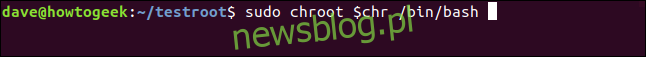 sudo chroot $ chr / bin / bash w oknie terminala