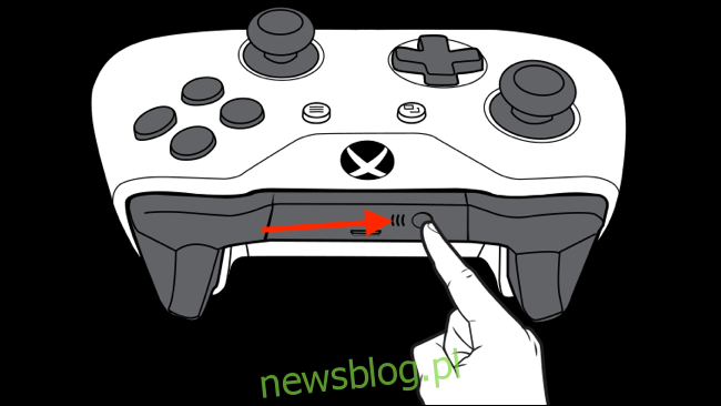 schemat kontrolera Xbox