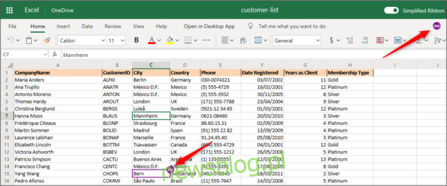 Udostępniony skoroszyt otwarty w Excel dla sieci Web.