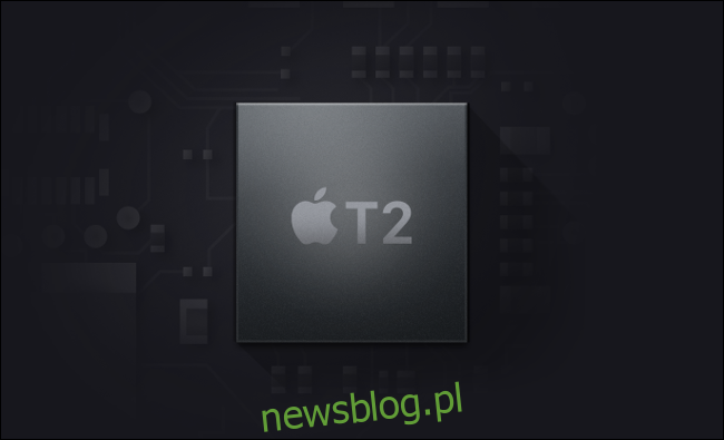 Chip Apple T2