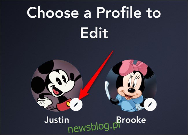Aplikacja Disney + Wybierz profil