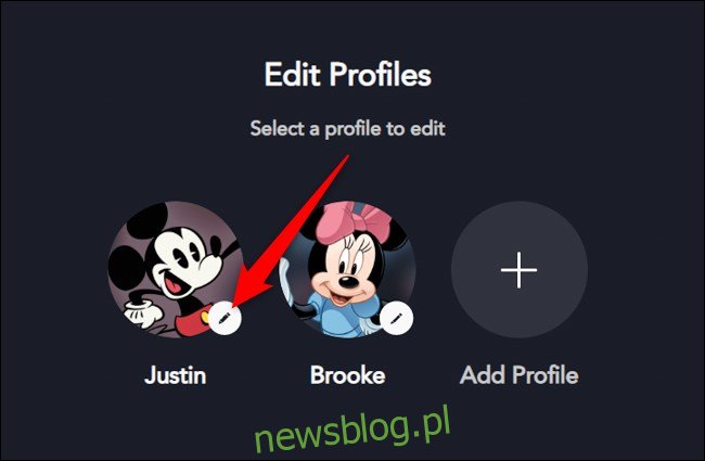 Disney + w sieci Wybierz profil