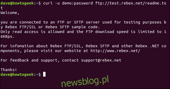 Zawartość pliku pobranego z serwera FTP wyświetlana w oknie terminala