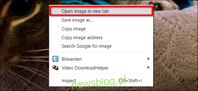 Chrome Otwórz obraz w nowej karcie