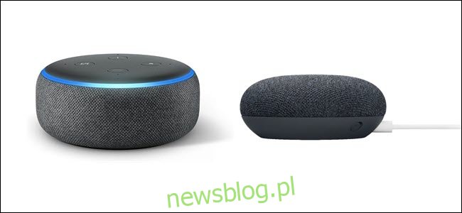 Echo trzeciej generacji z niebieskim pierścieniem świetlnym obok Google Nest Mini z białym przewodem zasilającym.