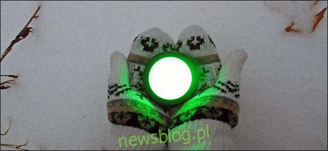 Para rąk w rękawiczkach trzymających przycisk Echo świecący na zielono na śniegu.