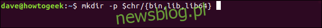 mkdir -p $ chr / {bin, lib, lib64} w oknie terminala