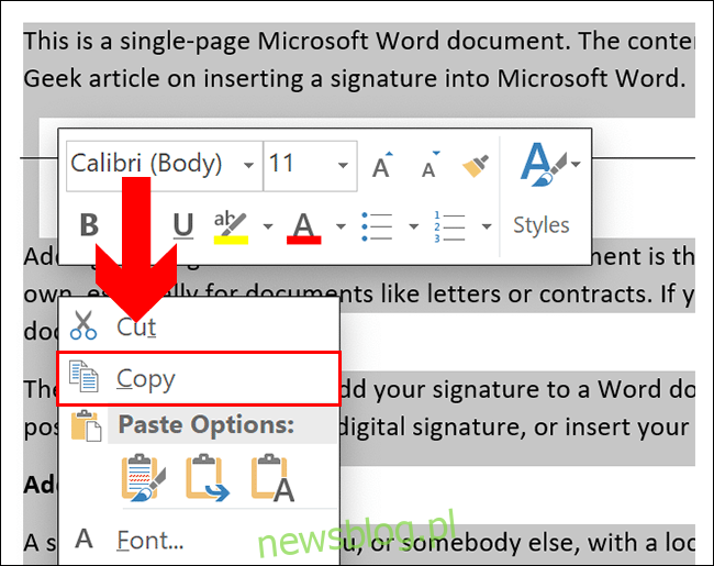 Aby skopiować w dokumencie programu Word, zaznacz zawartość, a następnie naciśnij Ctrl + C lub kliknij prawym przyciskiem myszy i kliknij Kopiuj
