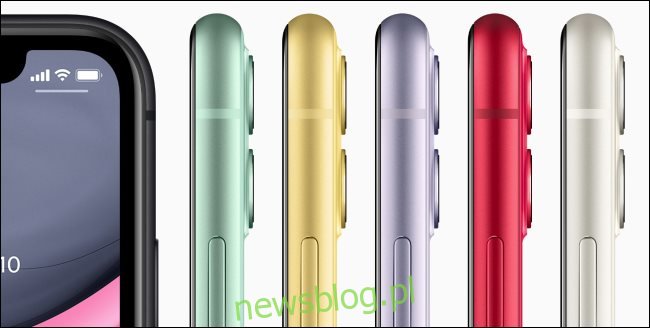 Apple iPhone 11 w różnych kolorach