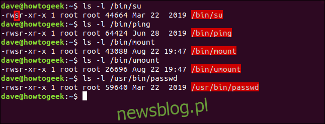 Lista poleceń systemu Linux, które mają ustawiony bit SUID w oknie terminala.