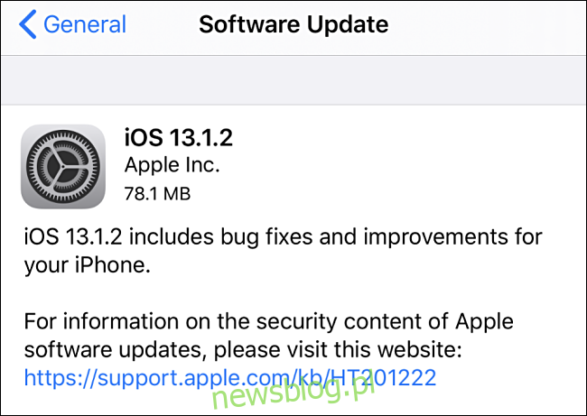 Zrzut ekranu przedstawiający aktualizację iOS do 13.1.2