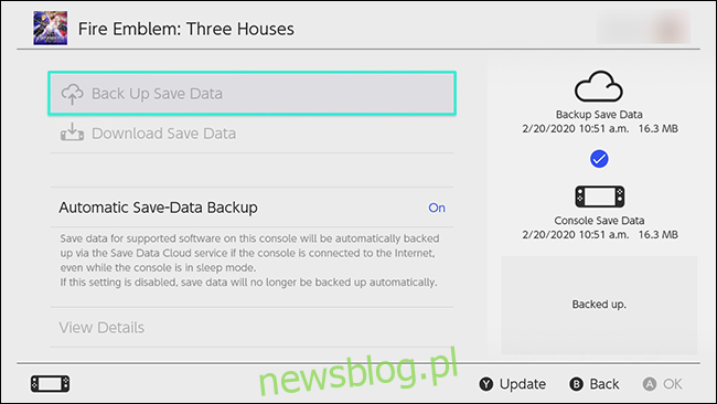 Nintendo Switch Automatic Save Data Cloud