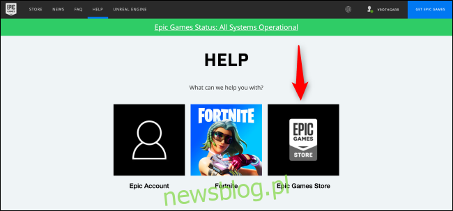 Strona pomocy Epic Games