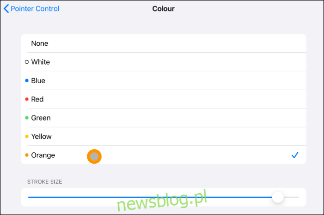 Opcja koloru i obrysu kursora na iPadzie