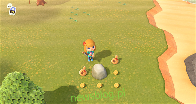 Animal Crossing New Horizons rock pieniędzy