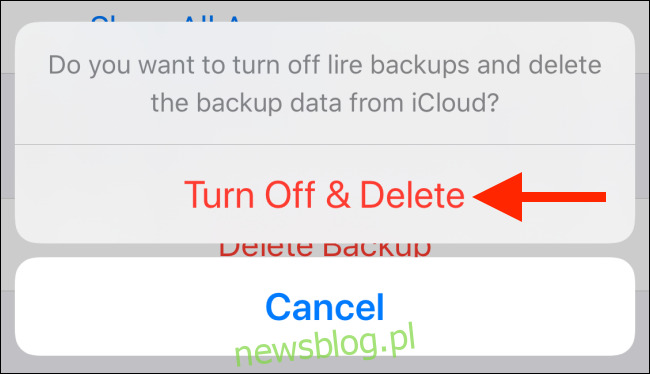 Stuknij w Wyłącz i Usuń, aby usunąć kopię zapasową aplikacji w iCloud
