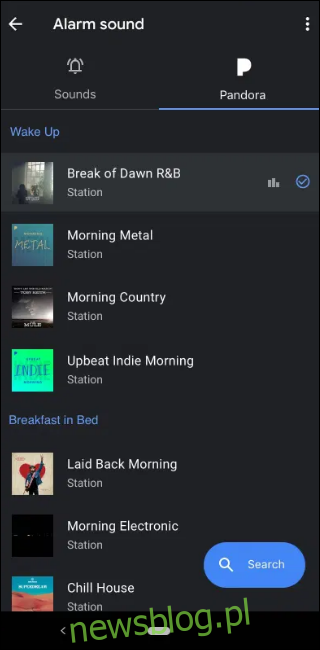 Domyślne stacje radiowe Pandora