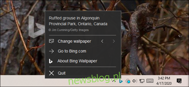 Kontrolowanie aplikacji Bing Wallpaper za pomocą ikony w obszarze powiadomień.