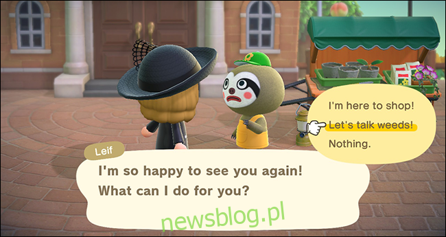 AnimalCrossing_New Horizons Lief and Weeds2
