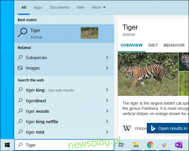 Wyszukiwanie Bing pokazujące informacje o tygrysach w menu Start systemu Windows 10.