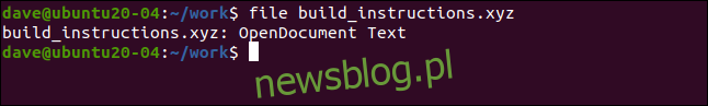 plik build_instructions.xyz w oknie terminala.