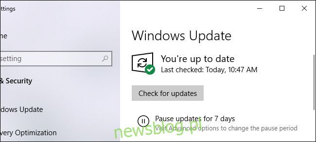 Windows Update mówi, że jesteś na bieżąco