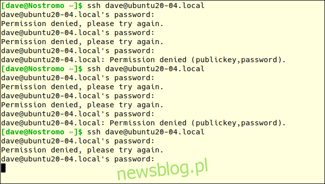ssh dave@ubtuntu20-04.local w oknie terminala z wieloma nieudanymi próbami podania hasła.