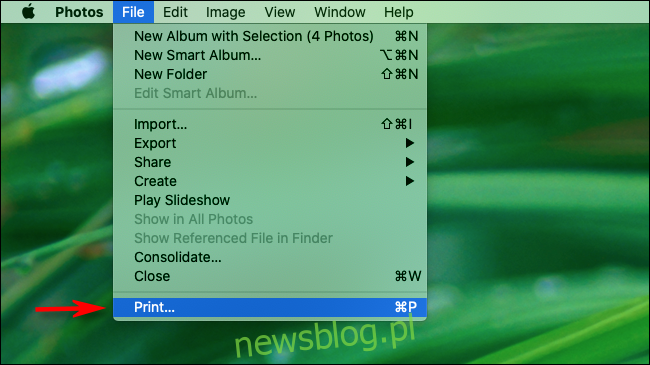 Wybierz Plik i drukuj na pasku menu w aplikacji Zdjęcia na Macu