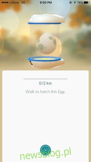 egg-walk-pokemon-go
