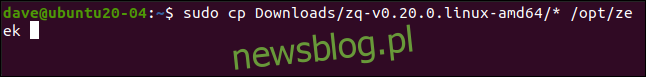 sudo cp Downloads / zq-v0.20.0.linux-amd64 / * / opt / Zeek w oknie terminala.