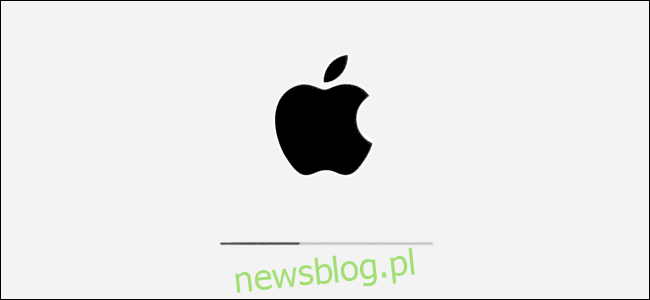 Logo Apple i pasek postępu instalacji w iPadOS.