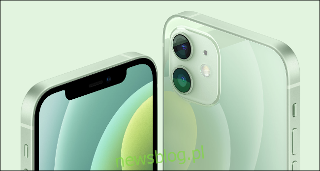 iPhone 12 w kolorze zielonym
