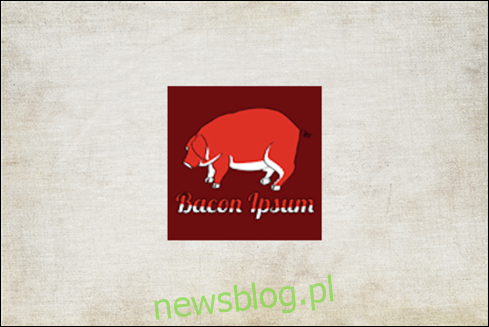 Logo Bacon Ipsum.