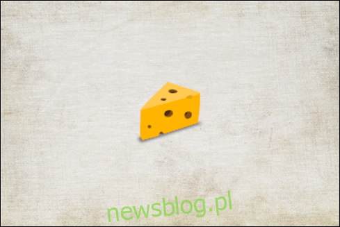 Logo Cheese Ipsum.