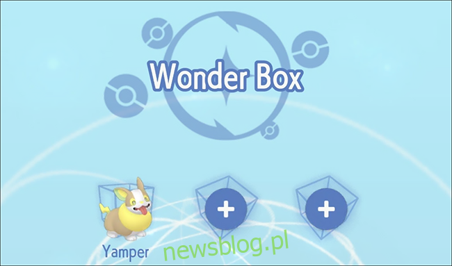 Postać o imieniu Yamper w Pokémon Home Wonder Box.