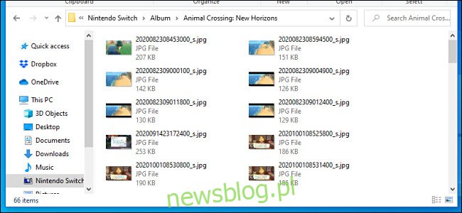 Lista zrzutów ekranu i obrazów wideo z konsoli Nintendo Switch widocznych na komputerze z systemem Windows za pośrednictwem kabla USB.