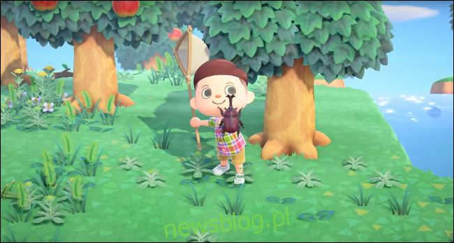 Zbieranie błędów w grze Animal Crossing: New Horizons