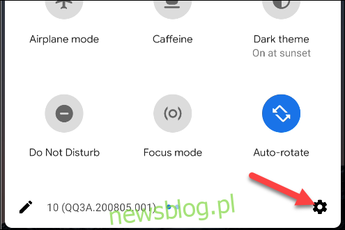 Jak korzystać z napisów na żywo w telefonie Google Pixel