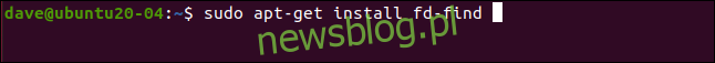 sudo apt-get install fd-find w oknie terminala.