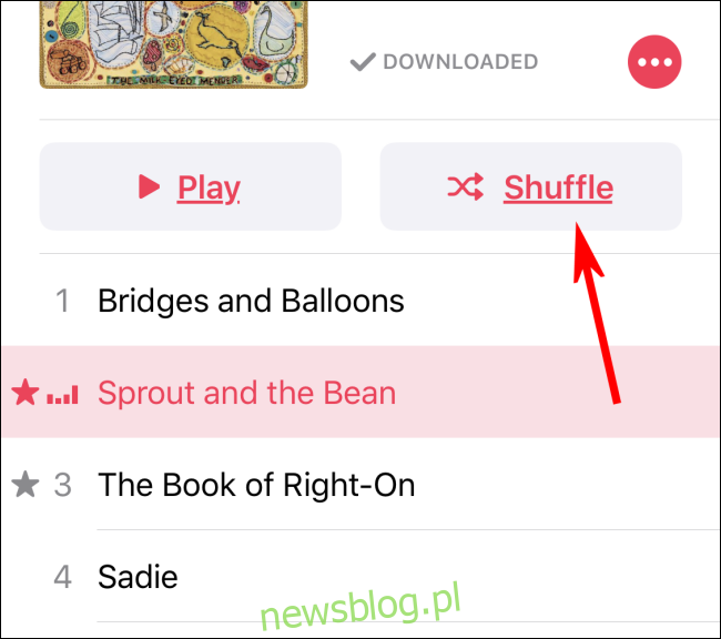 Włączanie odtwarzania losowego w aplikacji Muzyka za pomocą przycisku Odtwarzaj losowo